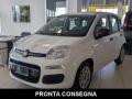usato FIAT Panda