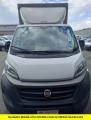usato FIAT Ducato