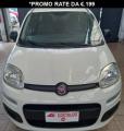 usato FIAT Panda