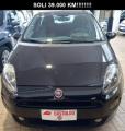 usato FIAT Punto