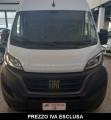 usato FIAT Ducato