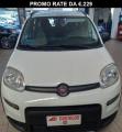 usato FIAT Panda