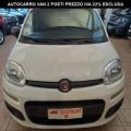 usato FIAT Panda