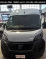 usato FIAT Ducato