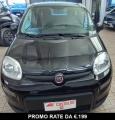 usato FIAT Panda