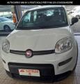 usato FIAT Panda