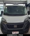 usato FIAT Ducato