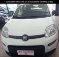 usato FIAT Panda