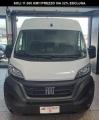 usato FIAT Ducato