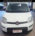 usato FIAT Panda