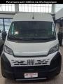 usato FIAT Ducato