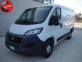 usato FIAT Ducato