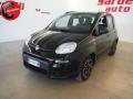 usato FIAT Panda