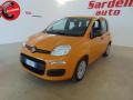 usato FIAT Panda