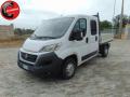 usato FIAT Ducato