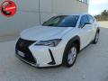usato LEXUS UX 250h
