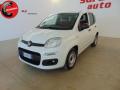 usato FIAT Panda