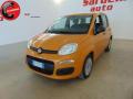 usato FIAT Panda