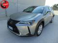 usato LEXUS UX 250h