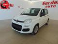 usato FIAT Panda