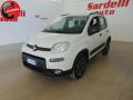 usato FIAT Panda
