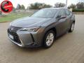 usato LEXUS UX 250h