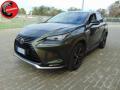 usato LEXUS NX 300