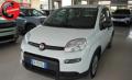 usato FIAT Panda