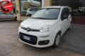 usato FIAT Panda