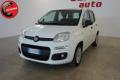 usato FIAT Panda