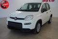 usato FIAT Panda