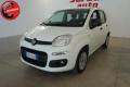 usato FIAT Panda