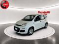 usato FIAT Panda