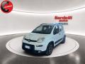 usato FIAT Panda