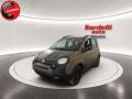 usato FIAT Panda