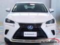 usato LEXUS NX 300