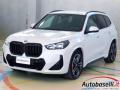 usato BMW X1