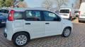 usato FIAT Panda