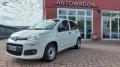 usato FIAT Panda