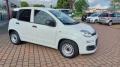 usato FIAT Panda