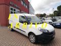 usato FIAT Doblo