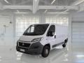 usato FIAT Ducato