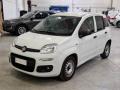 usato FIAT Panda