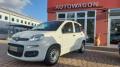 usato FIAT Panda