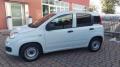 usato FIAT Panda