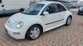 usato VOLKSWAGEN New Beetle