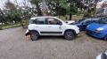 usato FIAT Panda
