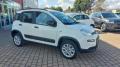 usato FIAT Panda