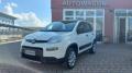 usato FIAT Panda