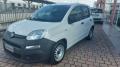 usato FIAT Panda